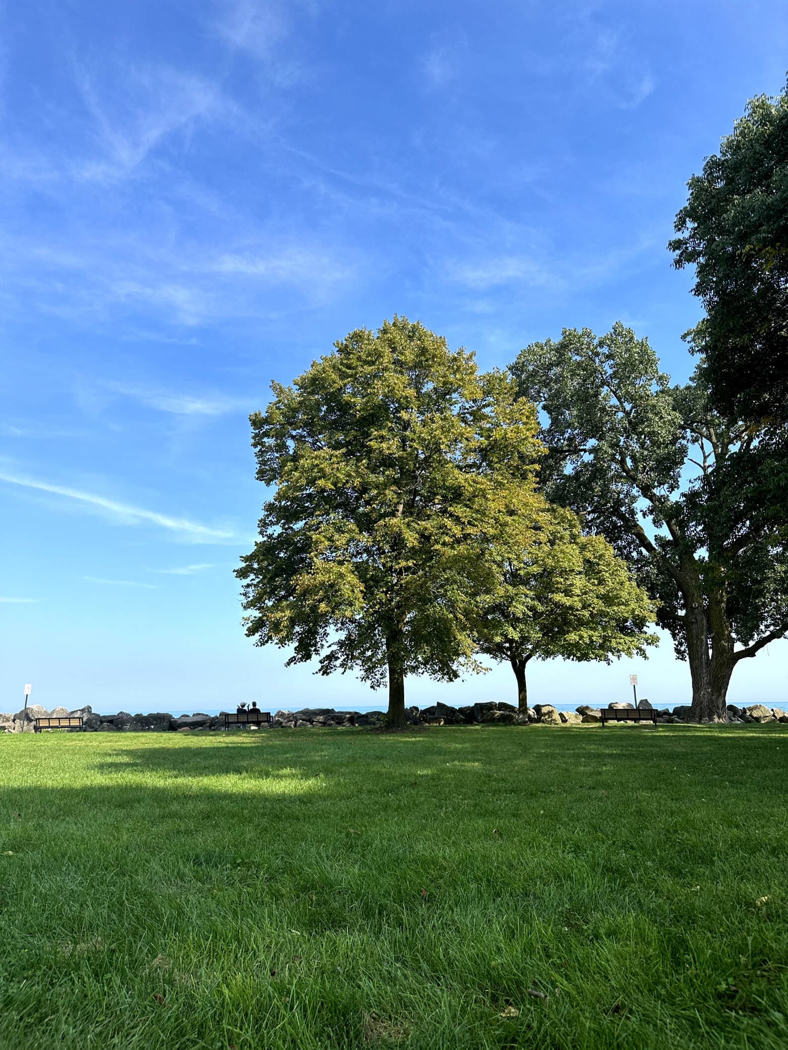 Park in Evanston