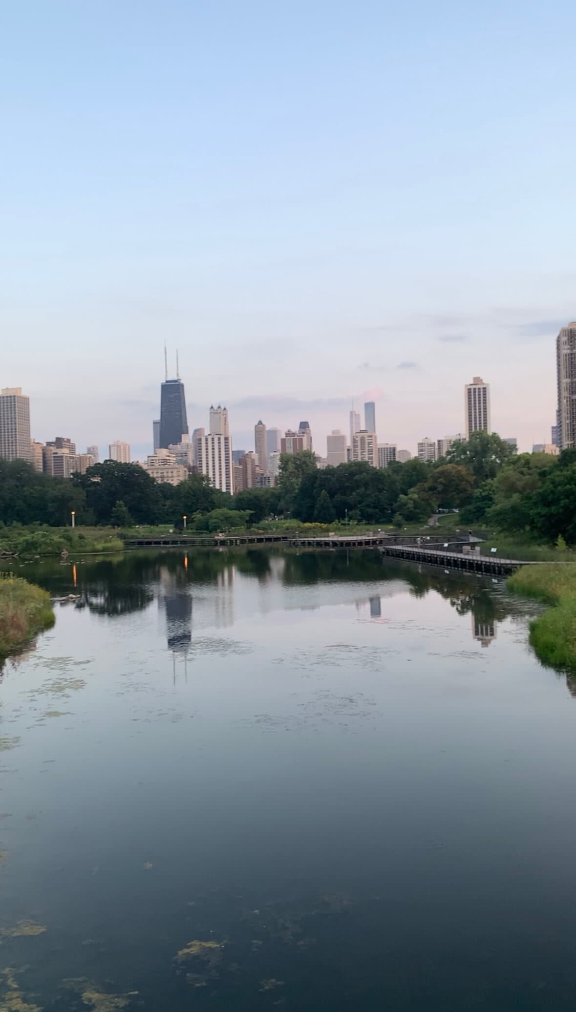 Chicago from Lincoln park